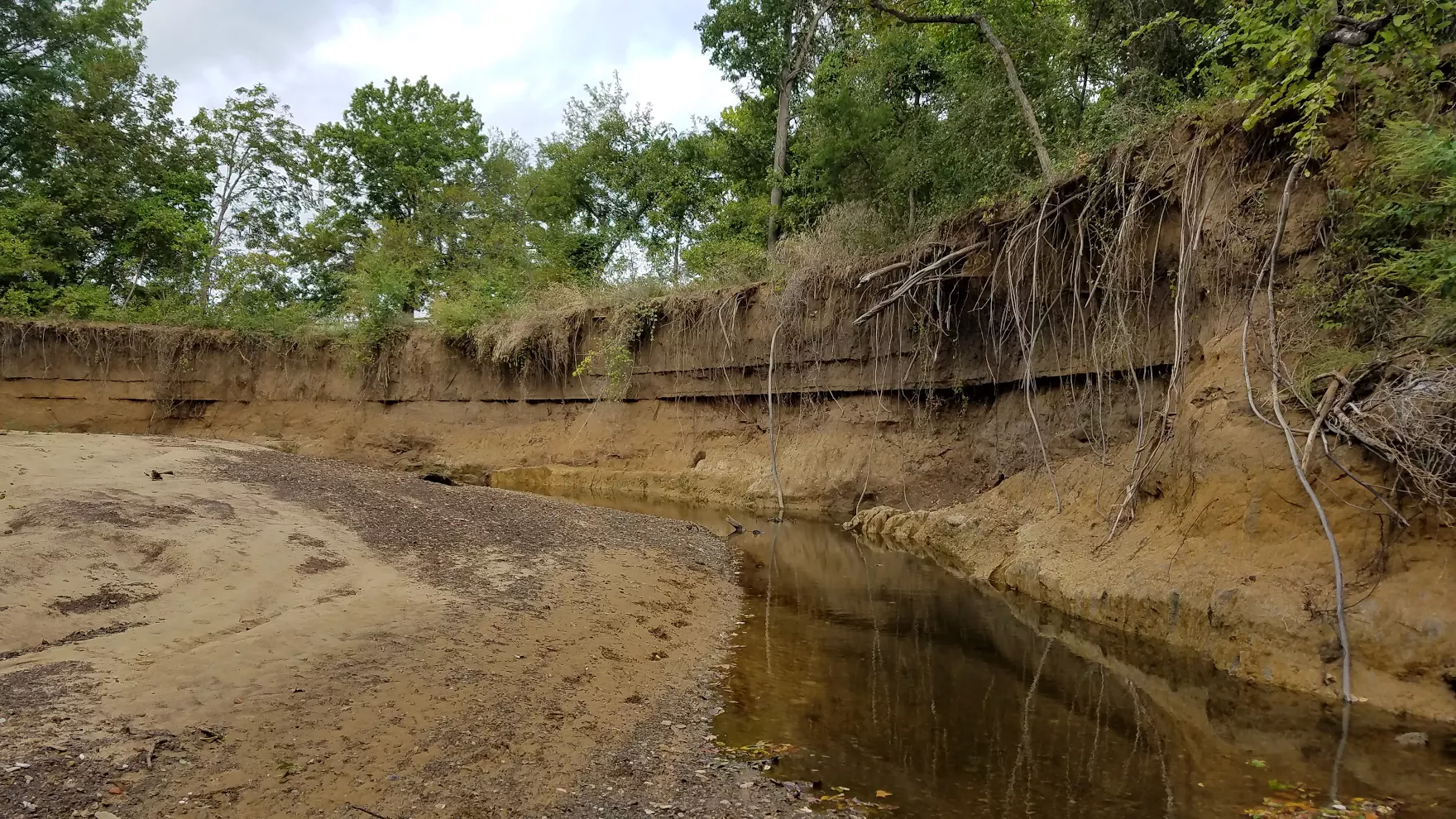 Stormwater Runoff Pic2