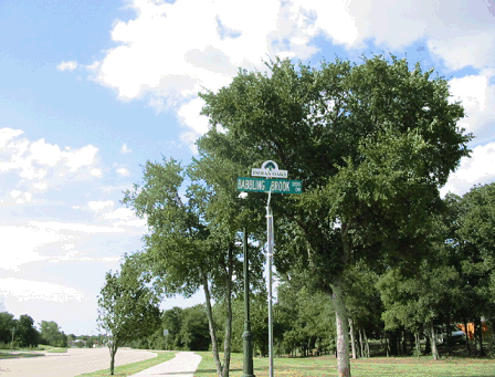 green street sign