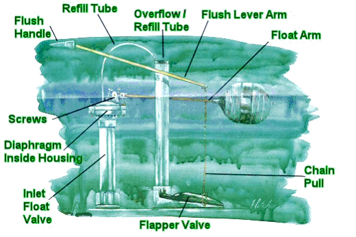 image of parts that can be found inside a toilet tank