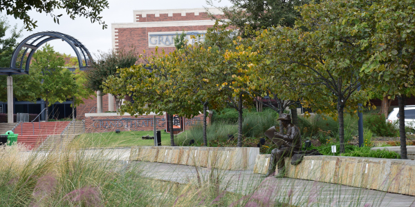 Wayne Ferguson Bronze grass and Grand in background