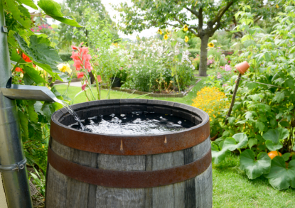 rain barrel