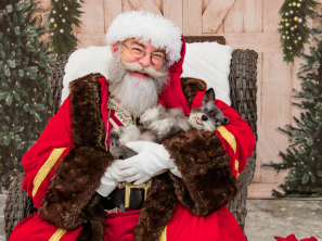 Lewisville Animal Shelter offering pet photos with Santa