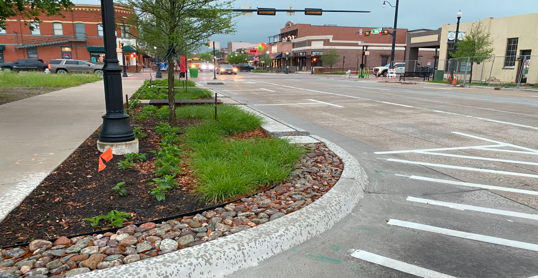 rain garden