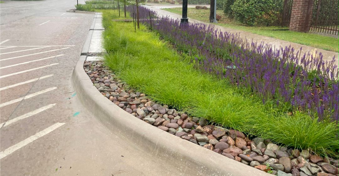 Old Town Rain Garden