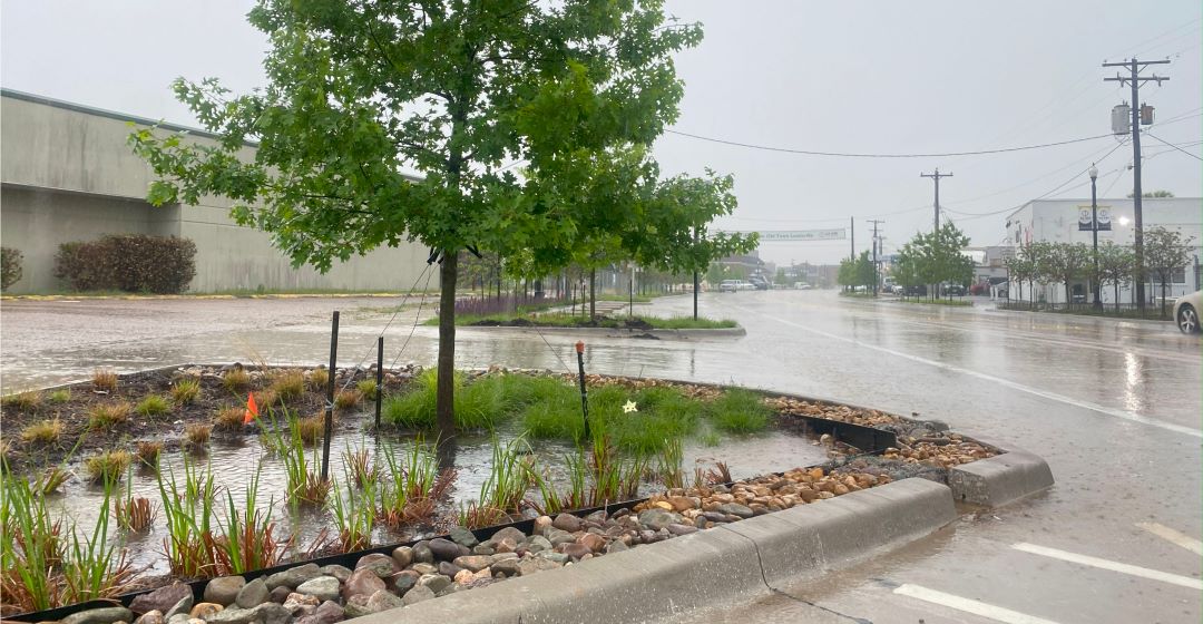 Rain garden filtering stormwater