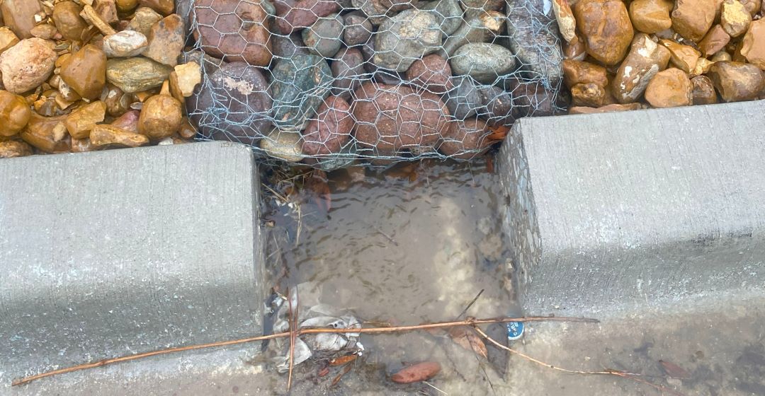 Stormwater filtering into rain garden