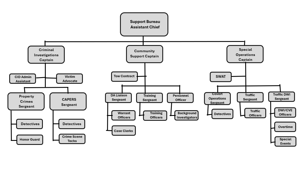 Org Chart - Support Bureau