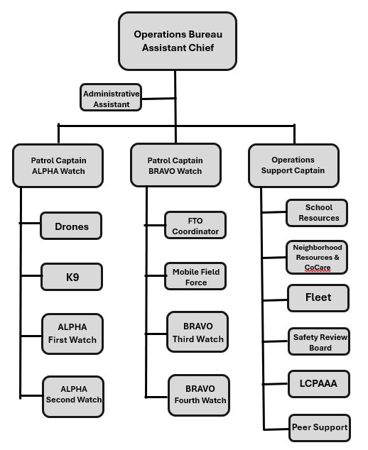 Org Chart - Operations